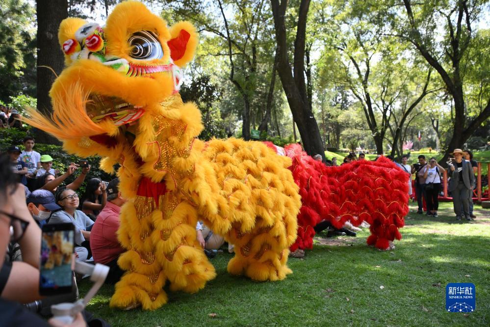 八福娱乐是哪个网站